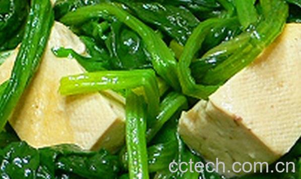 果蔬百科豆腐菠菜-0