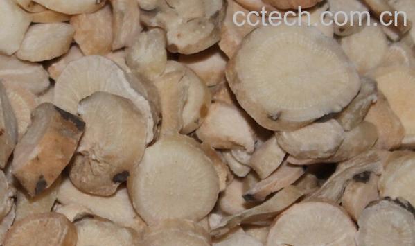 果蔬百科白芍-0