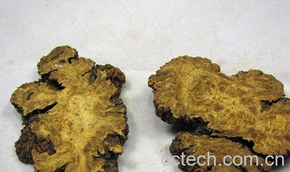 果蔬百科酒川芎-0