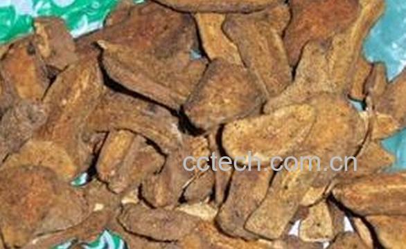 果蔬百科炒白术-0