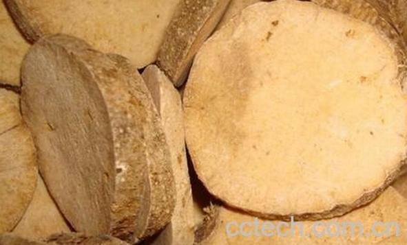 果蔬百科盐泽泻-0