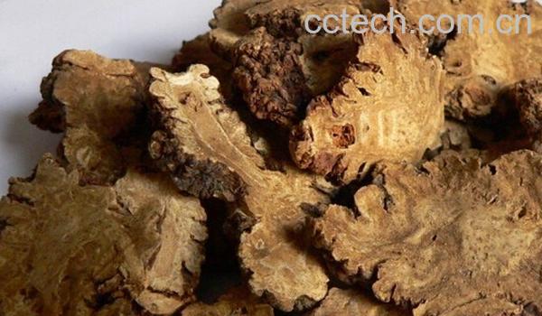 果蔬百科川芎-0