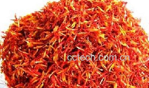 果蔬百科草红花-0