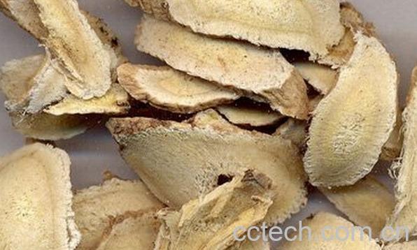 果蔬百科黄芪-0