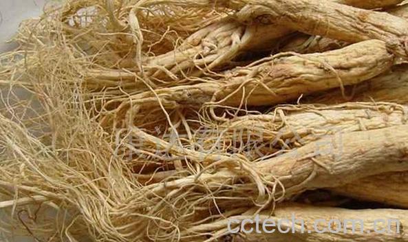 果蔬百科干人参-0