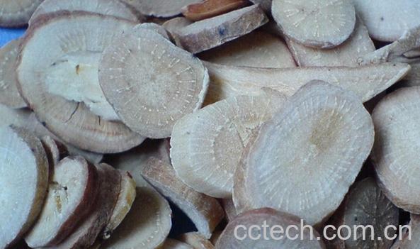 果蔬百科生白芍-0