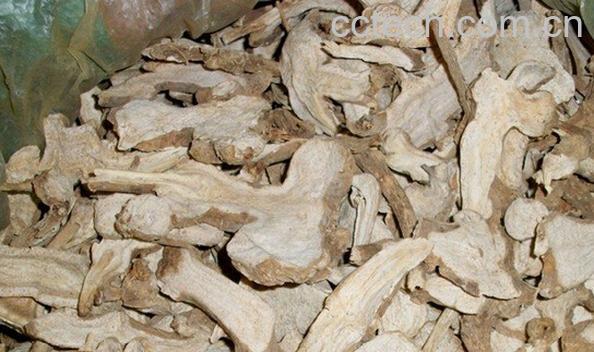 果蔬百科生白术-0