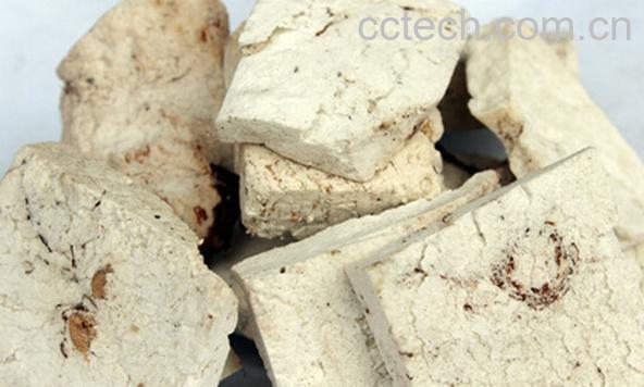 果蔬百科茯神-0