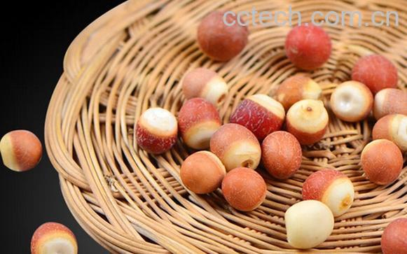 果蔬百科芡实-0