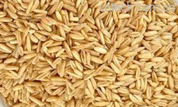 果蔬百科大麦芽-0