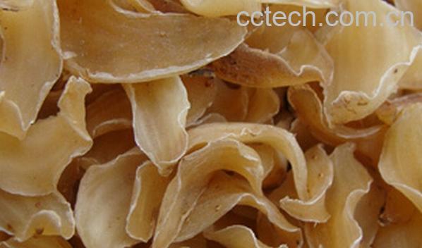 果蔬百科干百合-0