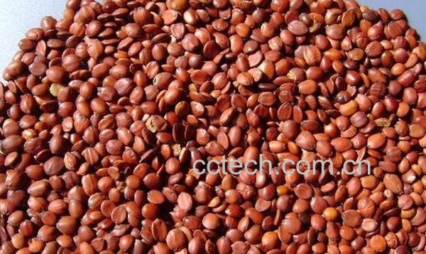 果蔬百科睡眠不好吃什么中药-0