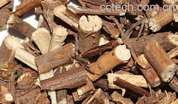 果蔬百科柴胡-0