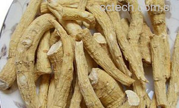 果蔬百科西洋参-0