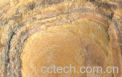 果蔬百科禹余粮-0