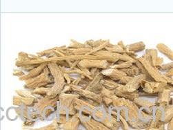 果蔬百科银柴胡-0