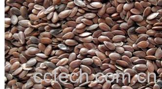 果蔬百科亚麻子-0