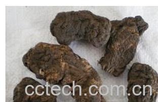 果蔬百科生地-0