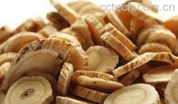 果蔬百科红芪-0