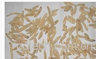 果蔬百科山麦冬-0