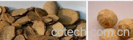 果蔬百科三棱-0