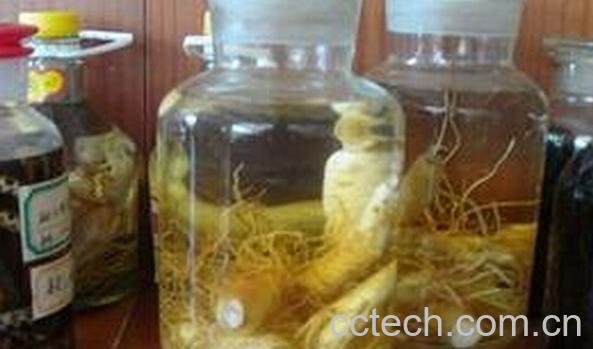 果蔬百科鲜人参泡酒-0