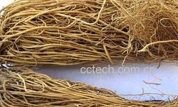 果蔬百科辽细辛-0