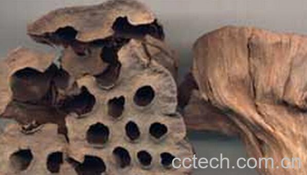 果蔬百科连房-0