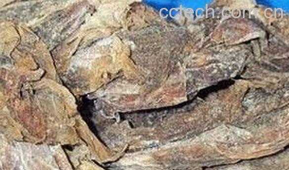 果蔬百科昆布-0