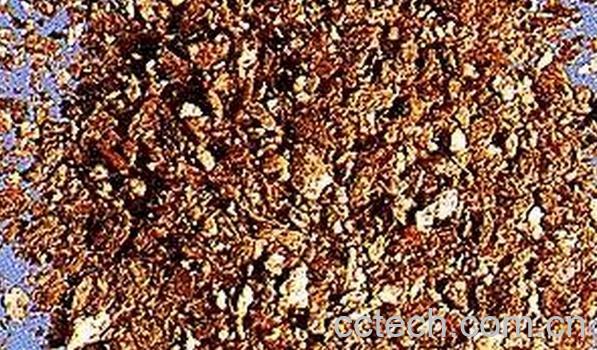 果蔬百科金礞石-0