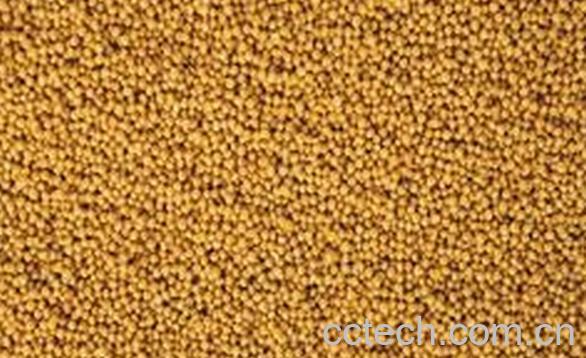 果蔬百科芥子-0