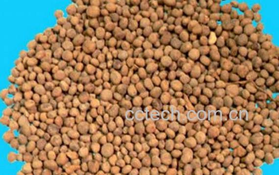 果蔬百科急性子-0