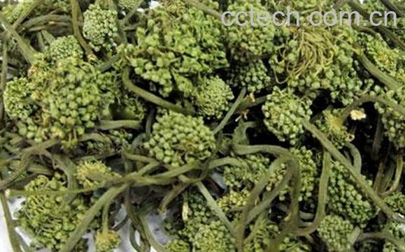 果蔬百科三七花和人参花哪个贵-0