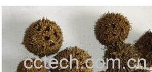 果蔬百科复果-0