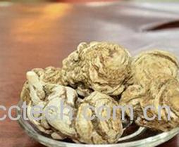 果蔬百科当归头-0