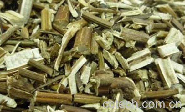 果蔬百科紫苏梗-0