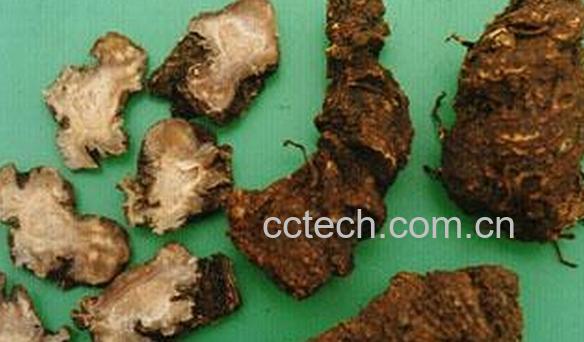 果蔬百科重楼-0