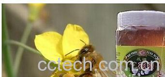 果蔬百科槐花蜜-0