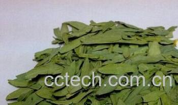 果蔬百科潘泻叶-0