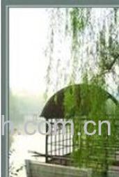 果蔬百科慈埠镇-0