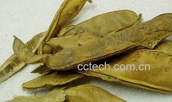 果蔬百科刀豆壳-0