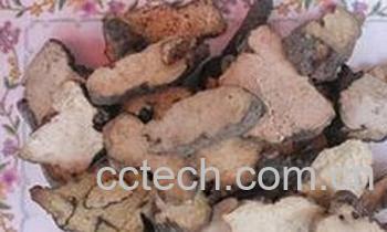 果蔬百科猪苓-0