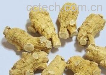 果蔬百科花旗参-0