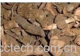 果蔬百科黑老虎-0