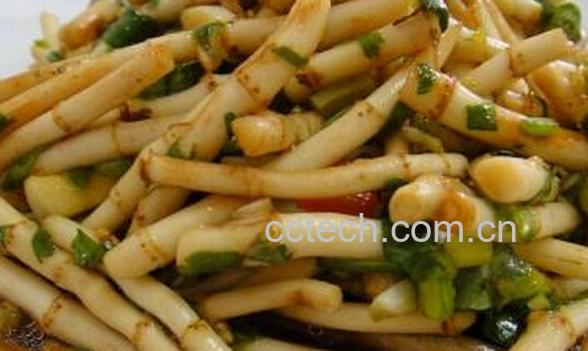 果蔬百科鱼腥草的禁忌-0