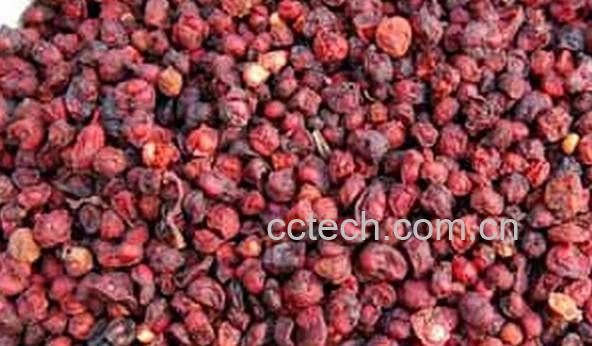 果蔬百科中药五味子-0