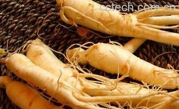 果蔬百科新鲜的人参怎么保存-0