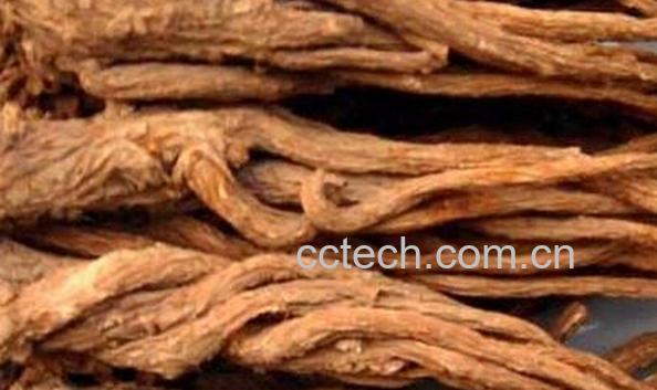 果蔬百科当归有什么作用-0