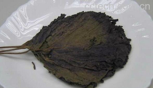 果蔬百科紫苏叶泡水-0