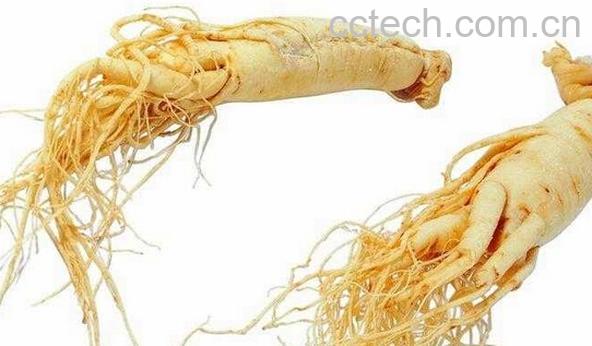 果蔬百科鲜人参-0